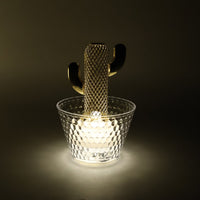 Packaged set of 6 LED flameless decorative cactus candles ready for gifting