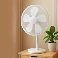 Large Decorative Fan Cover (1 Pc)