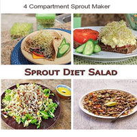 Detailed view of the Tidy Table sprout maker, highlighting its stackable 4-compartment design.
