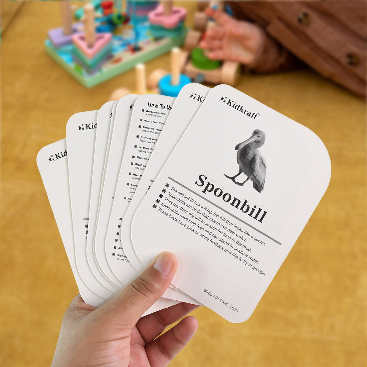 KidKraft Early Learner Educational Flashcards – 32 Birds