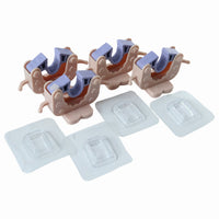 Multiple wall mounted clips organizing cleaning tool handles neatly