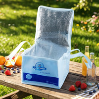 Portable lunch bag with carry handle for office or picnic