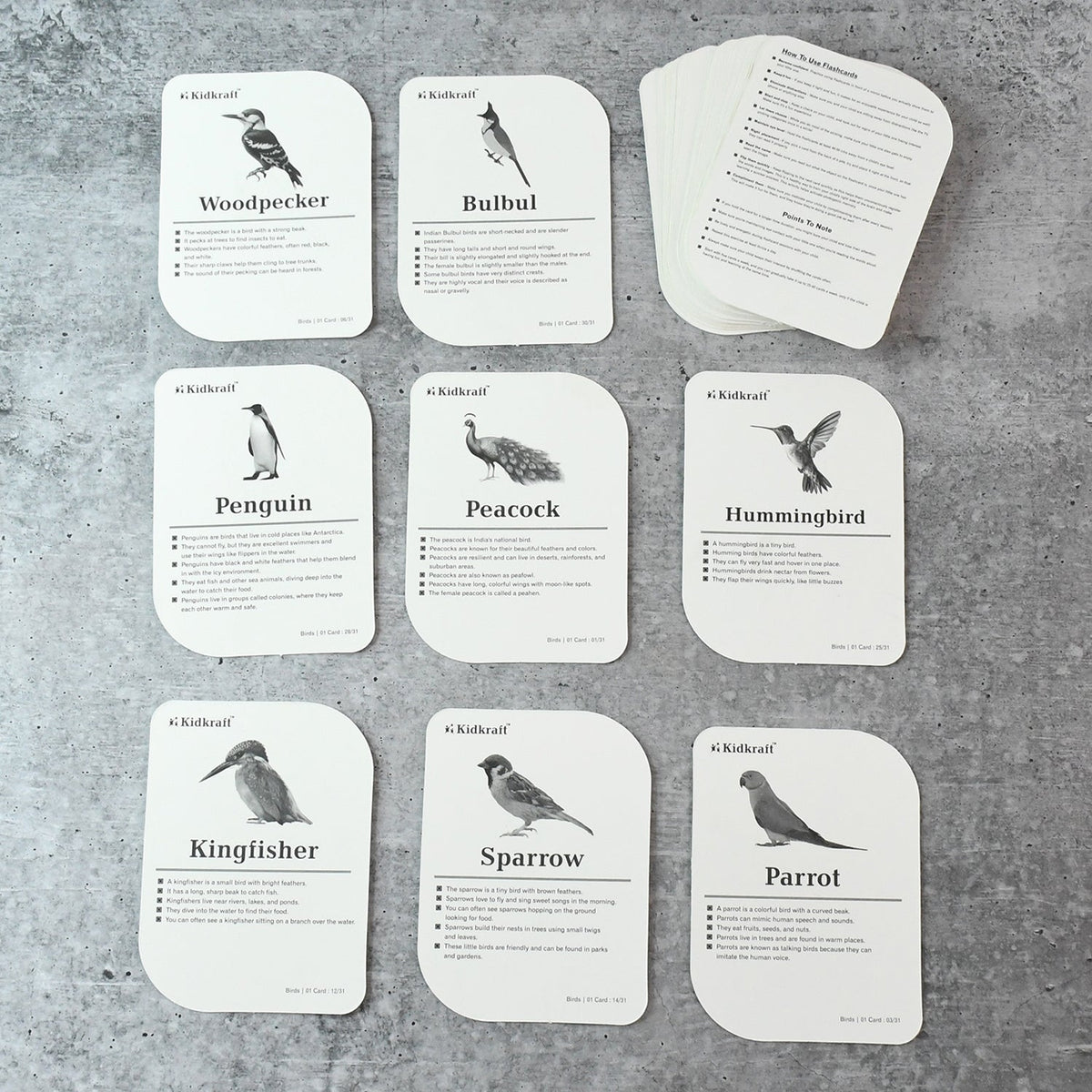 KidKraft Early Learner Educational Flashcards – 32 Birds