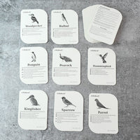 KidKraft Early Learner Educational Flashcards – 32 Birds