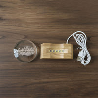 3D crystal LED lamp displayed showing wooden base and horse engraving details