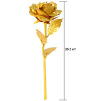 Varied placement examples of golden rose decoration set for interiors
