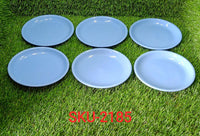 Compact mini plate set, ideal for small servings.