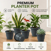 Flower pot design view